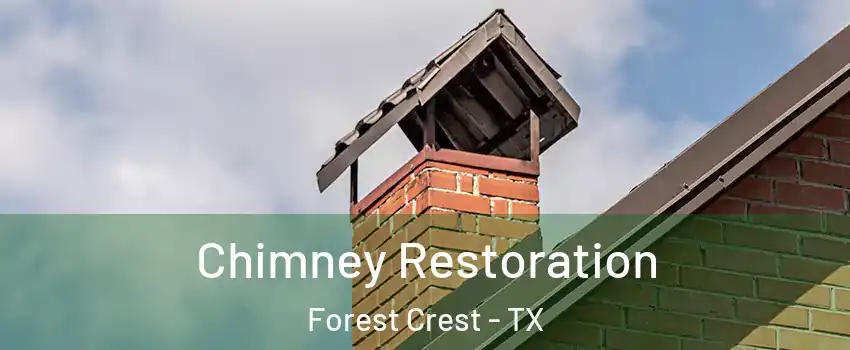 Chimney Restoration Forest Crest - TX