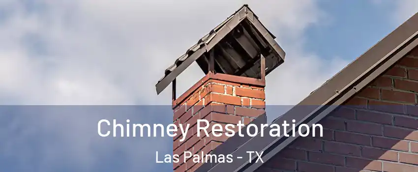 Chimney Restoration Las Palmas - TX