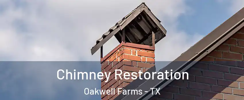 Chimney Restoration Oakwell Farms - TX