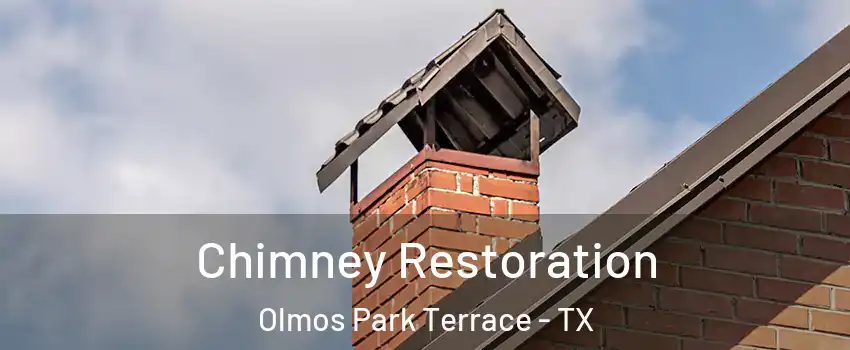 Chimney Restoration Olmos Park Terrace - TX