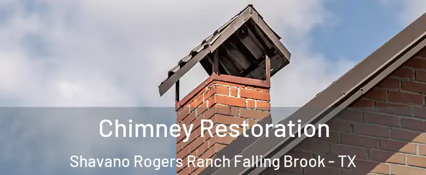 Chimney Restoration Shavano Rogers Ranch Falling Brook - TX