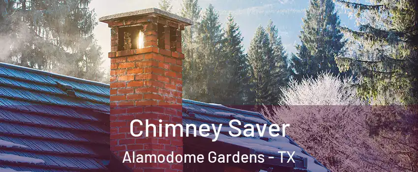 Chimney Saver Alamodome Gardens - TX