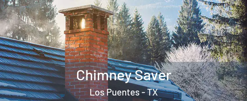 Chimney Saver Los Puentes - TX