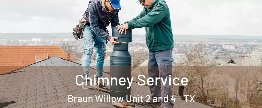 Chimney Service Braun Willow Unit 2 and 4 - TX