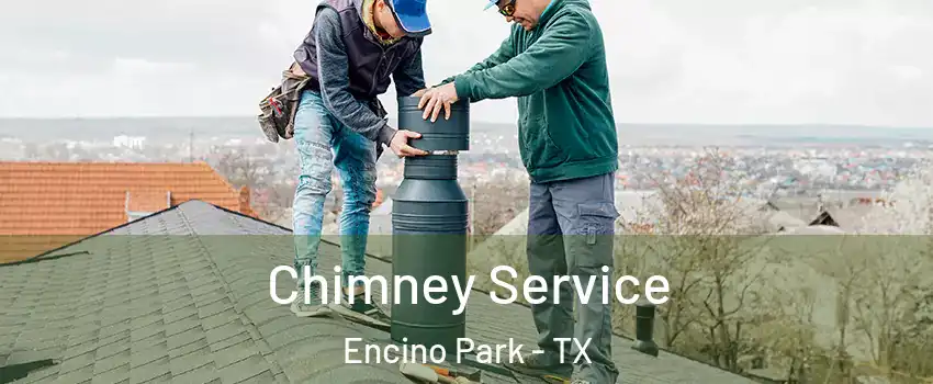 Chimney Service Encino Park - TX