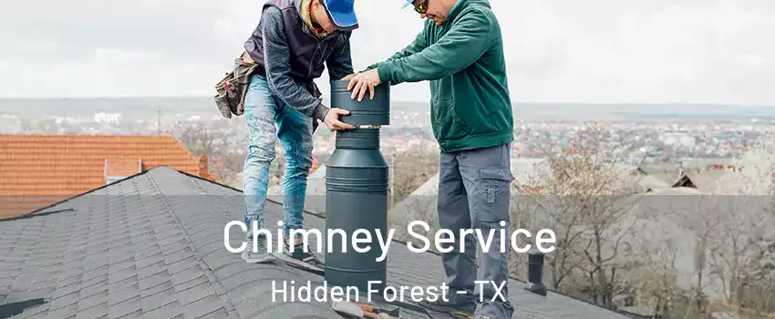 Chimney Service Hidden Forest - TX