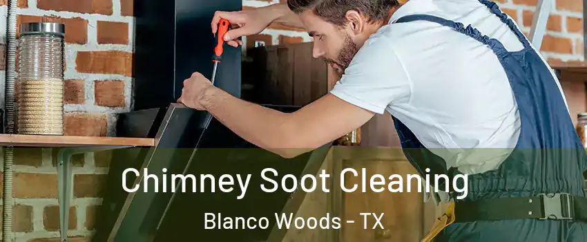 Chimney Soot Cleaning Blanco Woods - TX