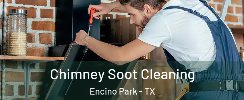 Chimney Soot Cleaning Encino Park - TX