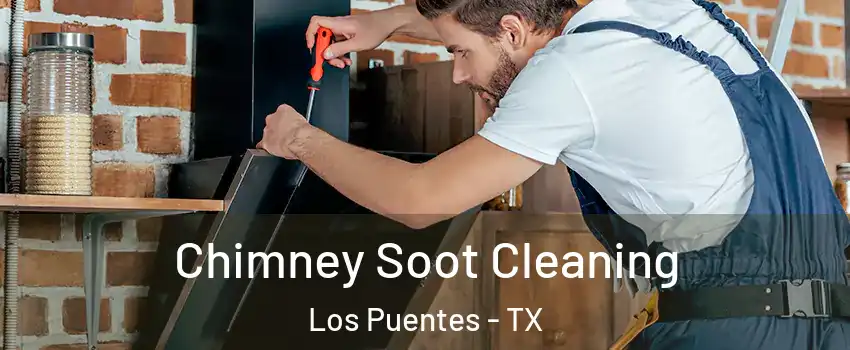 Chimney Soot Cleaning Los Puentes - TX