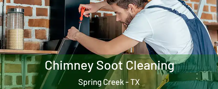 Chimney Soot Cleaning Spring Creek - TX