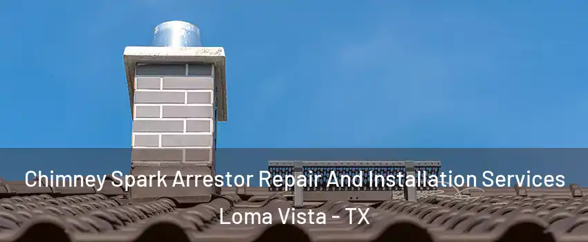 Chimney Spark Arrestor Repair And Installation Services Loma Vista - TX