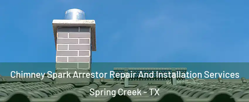 Chimney Spark Arrestor Repair And Installation Services Spring Creek - TX