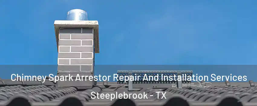 Chimney Spark Arrestor Repair And Installation Services Steeplebrook - TX