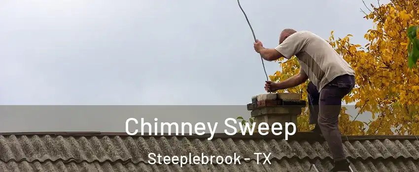 Chimney Sweep Steeplebrook - TX
