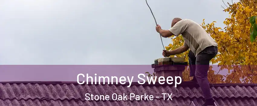 Chimney Sweep Stone Oak Parke - TX