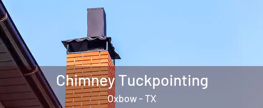 Chimney Tuckpointing Oxbow - TX