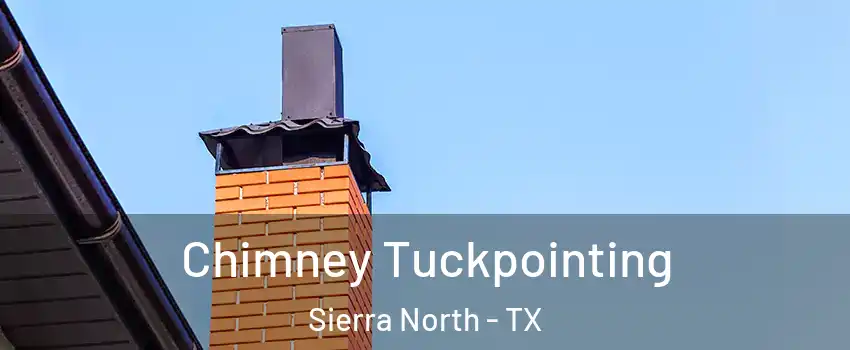 Chimney Tuckpointing Sierra North - TX