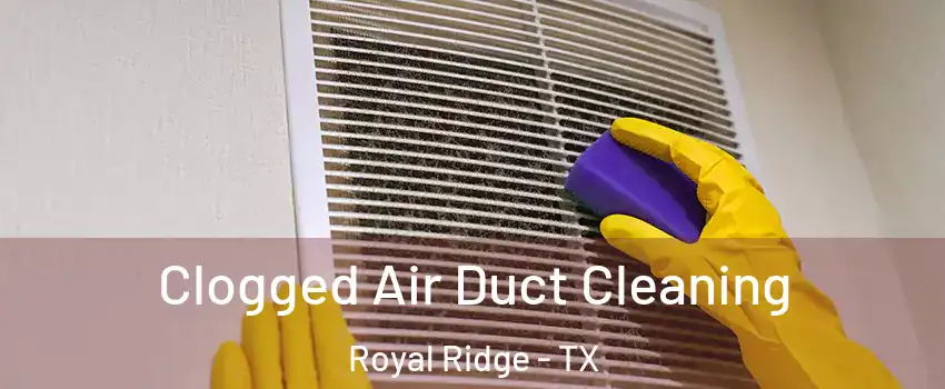 Clogged Air Duct Cleaning Royal Ridge - TX