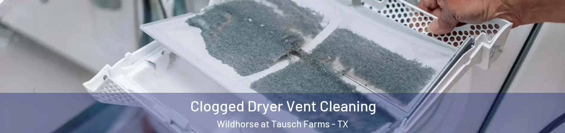 Clogged Dryer Vent Cleaning Wildhorse at Tausch Farms - TX