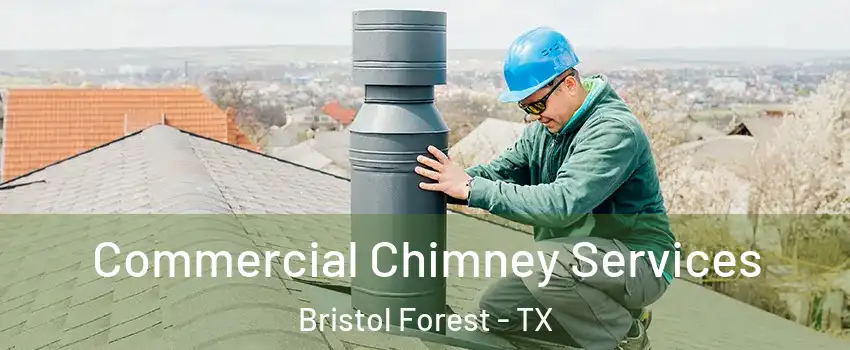 Commercial Chimney Services Bristol Forest - TX