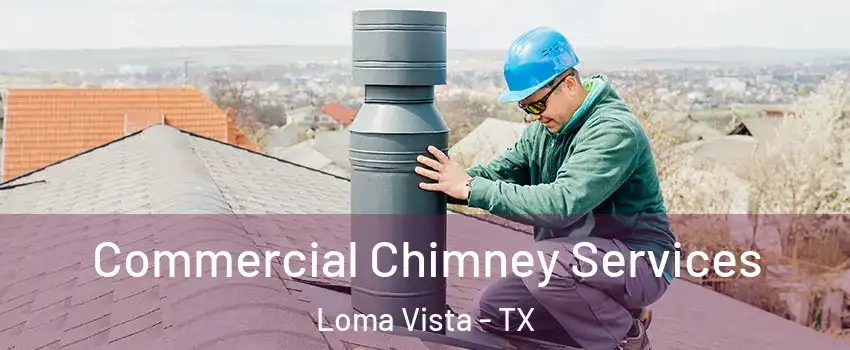 Commercial Chimney Services Loma Vista - TX