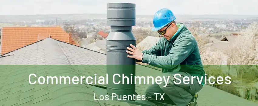 Commercial Chimney Services Los Puentes - TX