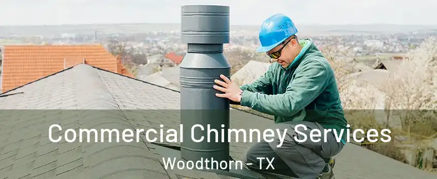 Commercial Chimney Services Woodthorn - TX