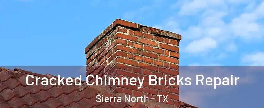 Cracked Chimney Bricks Repair Sierra North - TX