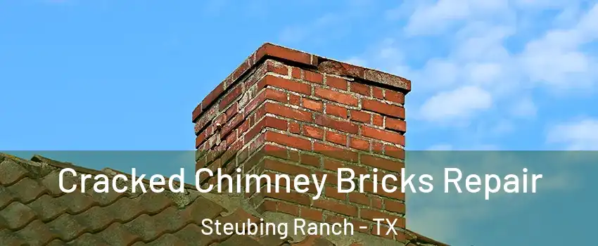 Cracked Chimney Bricks Repair Steubing Ranch - TX