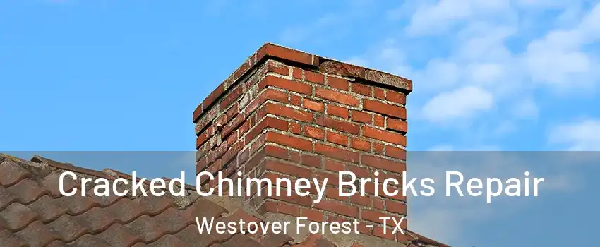 Cracked Chimney Bricks Repair Westover Forest - TX