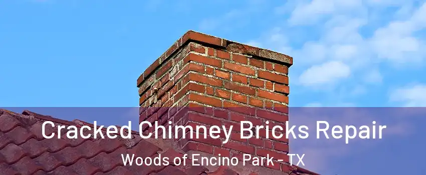 Cracked Chimney Bricks Repair Woods of Encino Park - TX
