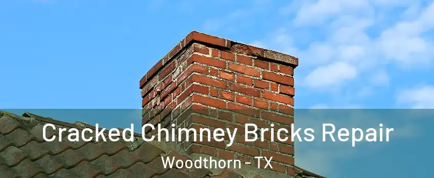 Cracked Chimney Bricks Repair Woodthorn - TX