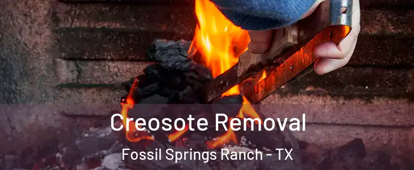 Creosote Removal Fossil Springs Ranch - TX