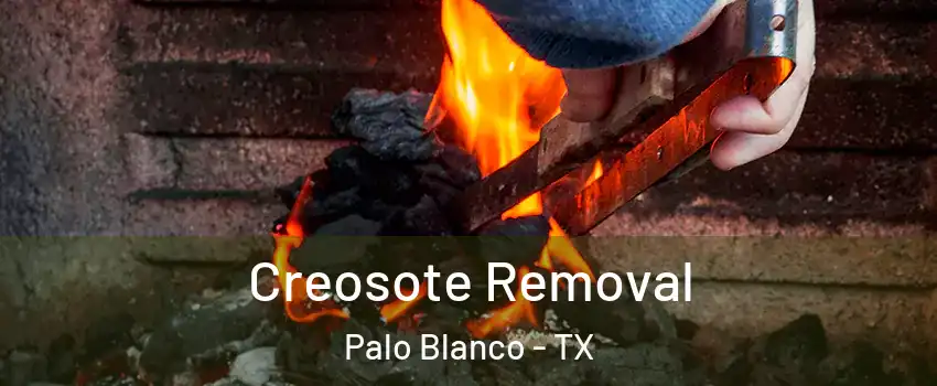 Creosote Removal Palo Blanco - TX