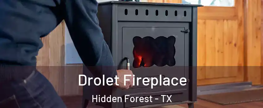 Drolet Fireplace Hidden Forest - TX