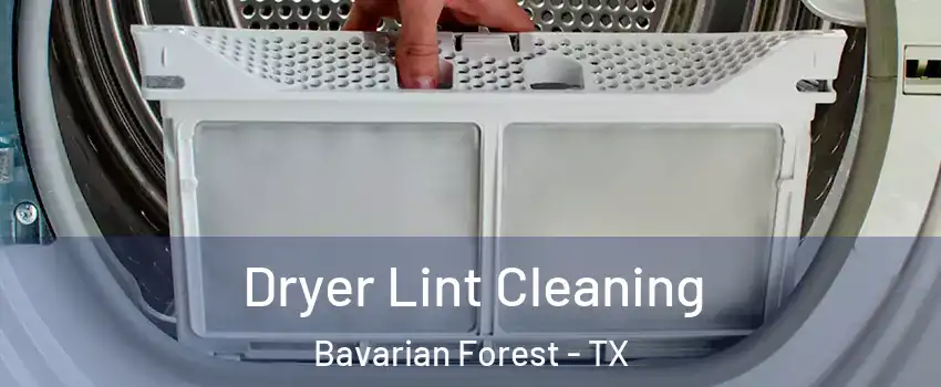 Dryer Lint Cleaning Bavarian Forest - TX