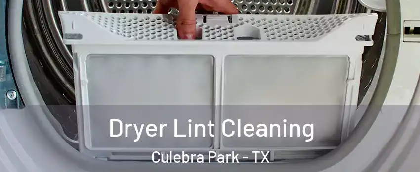 Dryer Lint Cleaning Culebra Park - TX