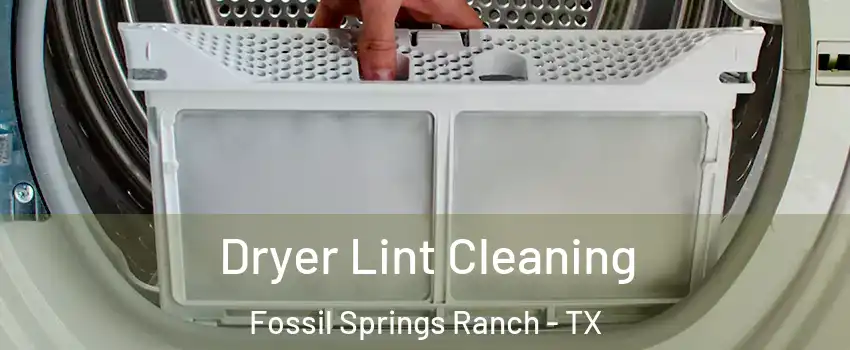 Dryer Lint Cleaning Fossil Springs Ranch - TX