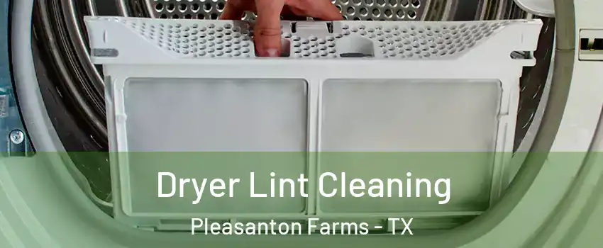 Dryer Lint Cleaning Pleasanton Farms - TX