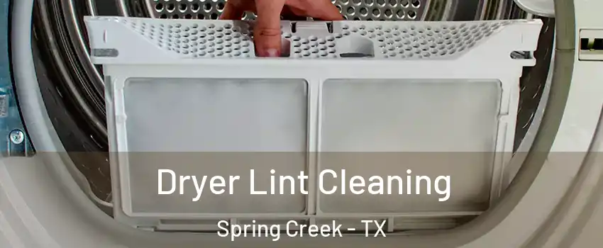 Dryer Lint Cleaning Spring Creek - TX