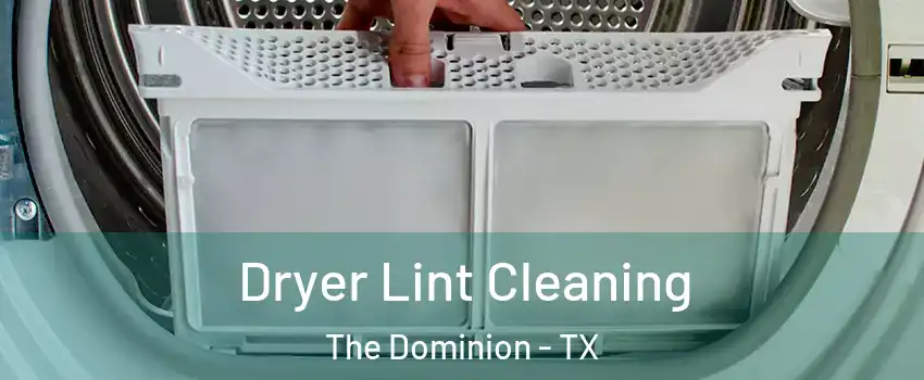 Dryer Lint Cleaning The Dominion - TX