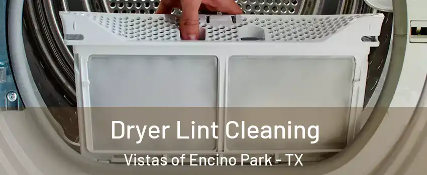Dryer Lint Cleaning Vistas of Encino Park - TX