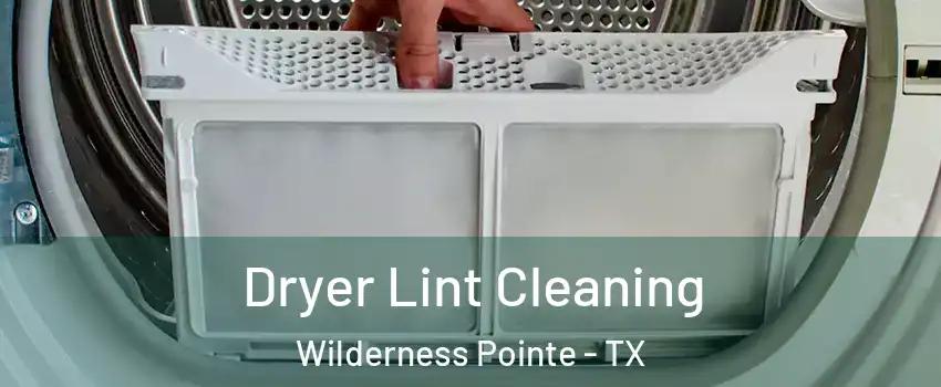 Dryer Lint Cleaning Wilderness Pointe - TX