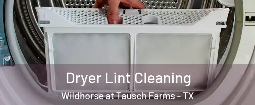 Dryer Lint Cleaning Wildhorse at Tausch Farms - TX