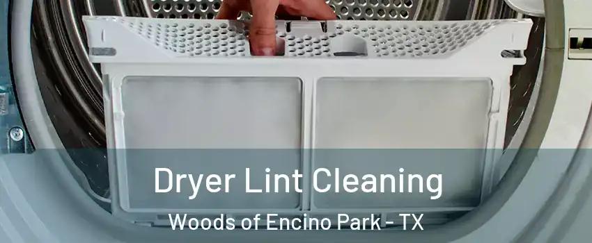 Dryer Lint Cleaning Woods of Encino Park - TX