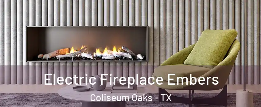Electric Fireplace Embers Coliseum Oaks - TX