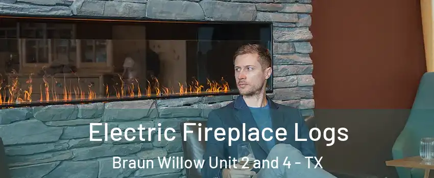 Electric Fireplace Logs Braun Willow Unit 2 and 4 - TX