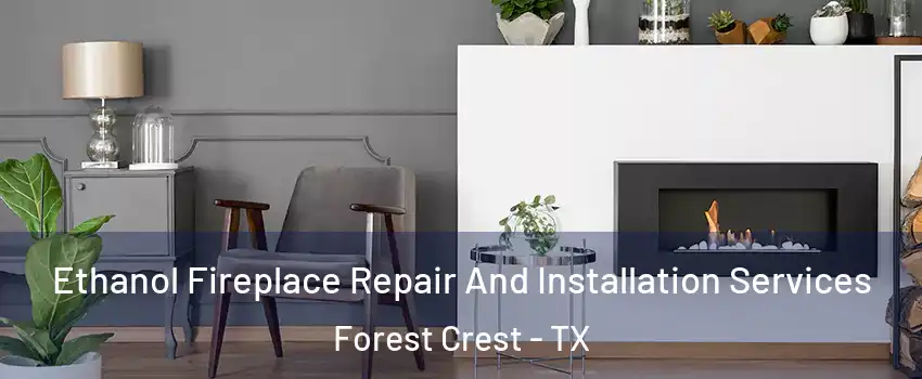 Ethanol Fireplace Repair And Installation Services Forest Crest - TX