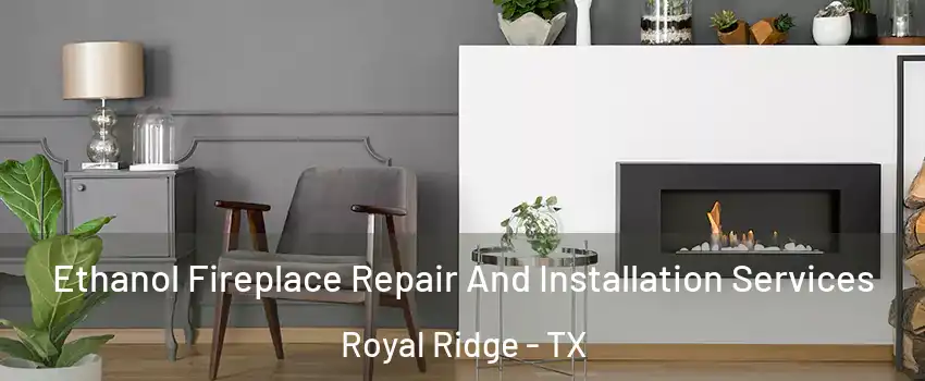 Ethanol Fireplace Repair And Installation Services Royal Ridge - TX