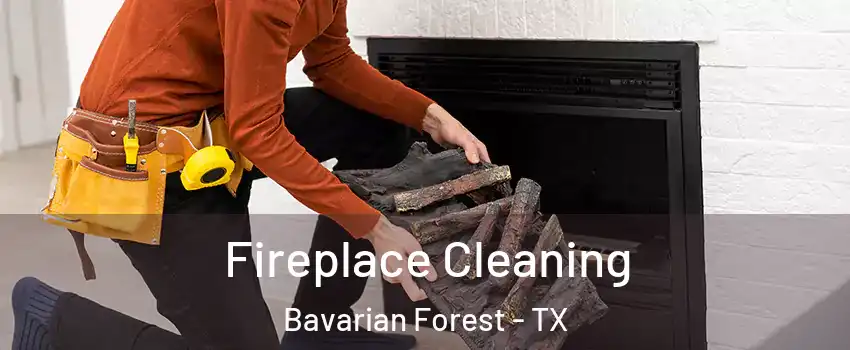 Fireplace Cleaning Bavarian Forest - TX